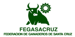 Fegasacruz